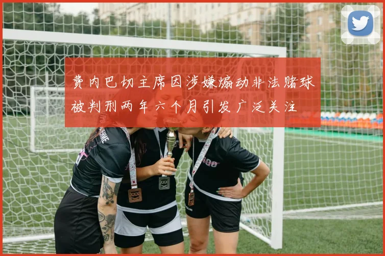 费内巴切主席因涉嫌煽动非法赌球被判刑两年六个月引发广泛关注